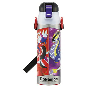 XP[^[(skater) qp XeX   580ml |P 23N qɗDyʃ^Cv j̎q ۗp |Pbg