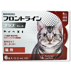 ypiztgC vX Lbg Lp 0.5mL×6{