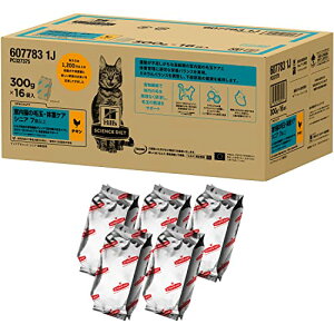 yzTCGX_CGbg Lbgt[h VjA ChA  Lp 7Έȏ `L 4.8kg L hC