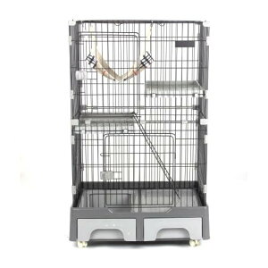 BTM L P[W LbgP[W 2i LgCt LX^[t nbNt LQ[W  LbgnEX lR nEX i 