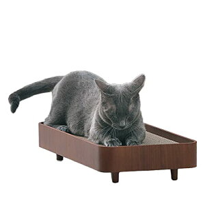 ACXI[} ܂Ƃ P[X CeA vCEbh PW-TC50 EH[ibg