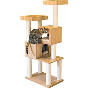 ACXvU Lbg^[ lC u^ ؐ E߂Ƃt i` 145cm