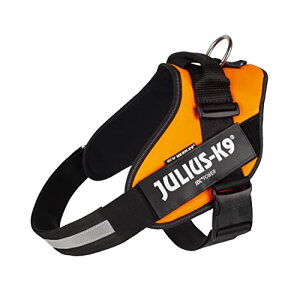 EXP[iC IDCp[n[lX UVIW 2