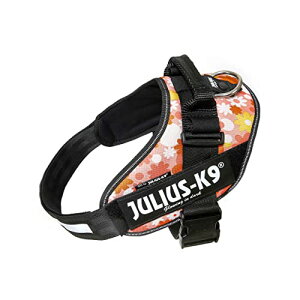 EXP[iC IDCp[n[lX sNt[ 2