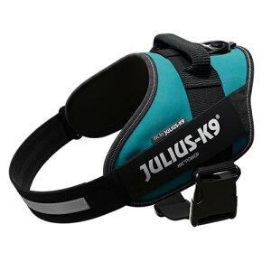 EXP[iC IDCp[n[lX K\O[ 1