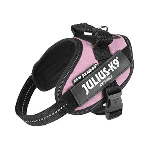 EXP[iC IDCp[n[lX sN ~j~j