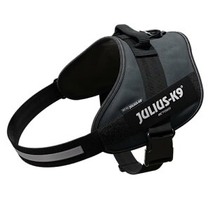 EXP[iC IDCp[n[lX OC 4