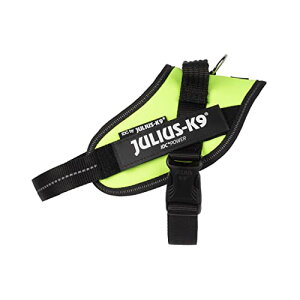 EXEP[iC IDCp[n[lX16IDC-NE-MlIO[~j