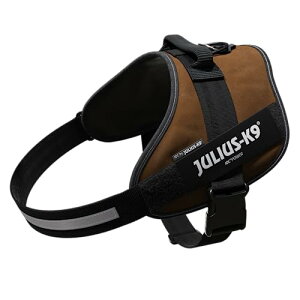 EXP[iC IDCp[n[lX uE 4