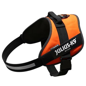 EXP[iC IDCp[n[lX UVIW 4