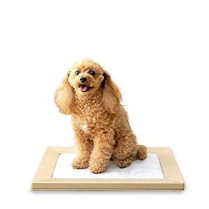 ACXI[}  gC XNGAhbOg[ ނ }Olbg M[ x[W 􂢉