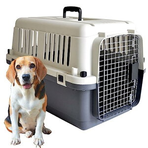 v`o ̂t fbNX L[obO60 L y IATA NAzOF40.5×40.5×s60.5cm E