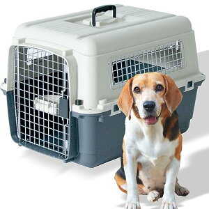 v`o ̂t fbNX L[obO70 LLy IATA NAz OF51×47×s67.5cm ^p