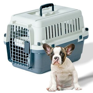 v`o ̂t fbNX L[obO50A M y IATA NAz OF33.5×33×s50.5cm ^p