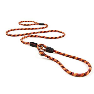 EZYDOG(C[W[hbO) [KXi] J[h IW E^p 170cm