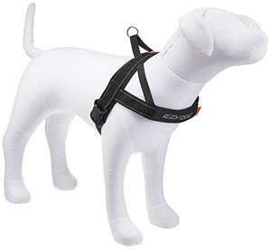 EZYDOG(C[W[hbO) [KXi] NCbNn[lX ubN ^p XL TCY