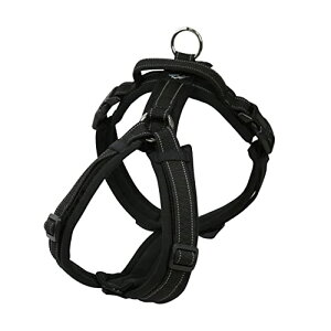 Hakusan [n[lX Sy pn[lX TCY ȒPE Ԕˍ y ʋC nht l[v[g XXS TC