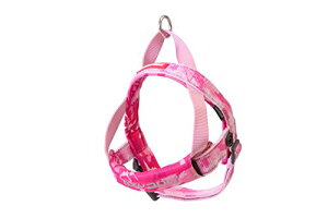 EZYDOG(C[W[hbO) NCbNn[lXXXS sNJ