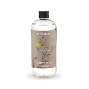 �G�X�e�o��(ESTEBAN) �t���O�����X���t�B�� �l�ւ��p 500ml