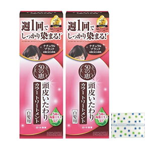 50̌b 炢J[g[gg i`ubN 2Zbg( _t[)+ɏTVFbgt