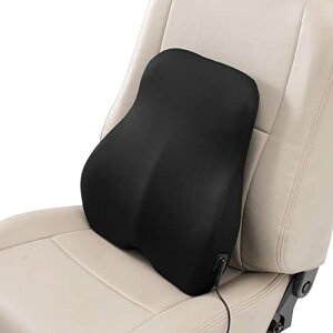 �{���t�H�[��(BONFORM) �T�|�[�g�N�b�V���� ���U���T�|�[�g �w���� 41x44cm �u���b�N 5809-08BK