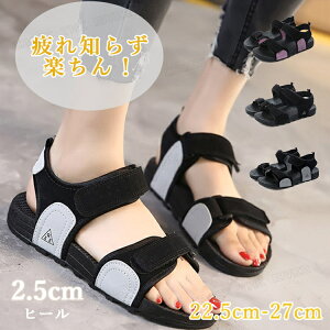 ȂT_ fB[X  X|[cT_ Y ₷ X|T ؂ T_ r[`T_ JbvyA T_ y y ₷ ᔽ ɂ yA