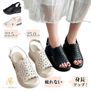 ȂT_ fB[X Ȃ fB[XT_ T_ q[ 6.5cm ԕ X|[cT_  gAbv d C Ȃ T_Xj[J[ ʋC NbV I