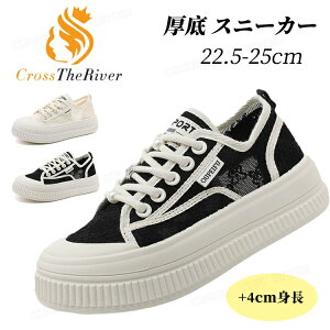 Xj[J[ fB[X  Xj[J[ ₷ [X T_Xj[J[ IV 4cm ؂ T_ wlC q[ ʋC ₷ Ȃ ؍ fB[X r Ȃ