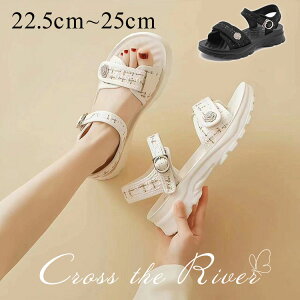 ȂT_ fB[X  X|[cT_ X|[cT_ fB[X ꂢ ʊw C Ȃ ₷ Xj[J[ T_ NbV ăV[Y ̎q w Rt