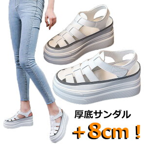 ȂT_ fB[X  X|[cT_ Ȃ T_ ₷ X|T Xj[J[  8cm q[ ؍ X|T ₷ ɂȂ T{ r[`T_ X|[c y