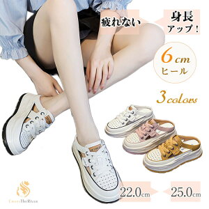 ȂT_ fB[X ƂȂ T_ fB[X Ȃ ꂢ T_Xj[J[ fB[XT_ Ȃ V[Y ɂȂ X|[cT_ q[ 6cm 