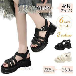 ȂT_ fB[X Ȃ fB[XT_ OfBG[^[T_ q[ 6cm d C Ȃ X|[cT_ T_ T_Xj[J[ ɂȂ It