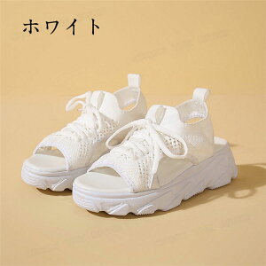 ȂT_ fB[X bVT_ ʋC T_ fB[X Ȃ X|[cT_ V[Y q[ 3cm d C  Ȃ T_ T_Xj[