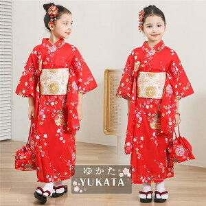   Zbg  q ̎q  w  ̎q 130   w bh ԕ 䂩 Ԍ   я  Zbg U a    ٗs WjA  ԉ