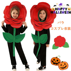   nEB[ ߑ ̎q j̎q  o RXvߑ KN rose w RX`[ 킢 LbY q nEBߑ 킢 Cxgpi ct p[eB[ a