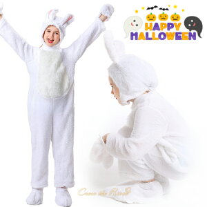 nEB RXv LbY oj[   ETM  oj[  J`[V ETM Aj} RR  qp ߑ LbY   ̎q qǂ q LbY 