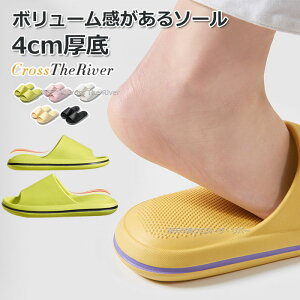 G V[T_ Y  Xbp fB[X V[T_ fB[X XChT_ Y ėp 􂦂 [V[Y p P \h y \tg R h