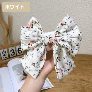 wAANZ rbO { ԕ { 傫 \  ؍ wAANZT[ ob^ rbOTCY wANbv ڂ  fB[X  p[eB wA{ sAm\