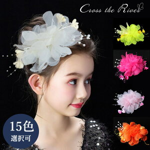 �L�b�Y �w�A�N���b�v �� ������ �_���X �w�A�s�� �x�r�[�h���X �w�A�A�N�Z�T���[ �Ԃ���� ���킢�� �^�[�o�� ���[�X �x�r�[ �h���X ������ ���̎q �E�F�f�B���O �p�[�e�B�[ �a���� ���܎O 