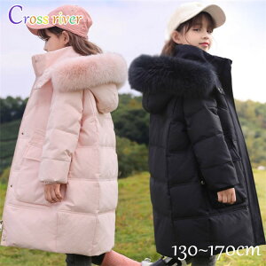 x`R[g WjA ̎q j̎q LbY x`R[g g  WPbg t[ht t@[t OR[g x`R[g wZ  AE^[  OR[g q W