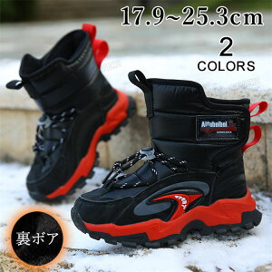 Xm[u[c LbY XpCN ~C j̎q Ȃ g V[gu[c {A  kC {Au[c WjA EC^[u[c N h h w ₷ q V[Y 