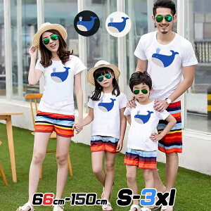 NR[f eq Zbg eq yAbN Ԃ pp tVc  Ԃ p[X NW  eq yAtVc q nn xr[   eqR[f gbvX Ƒ eq  