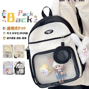 bN ̎q w  Cws wbN ̎q ʂ  [ ؍ fCpbN ZOwK  LbY bN bNLbY ̎q bN ъԊwZ h 