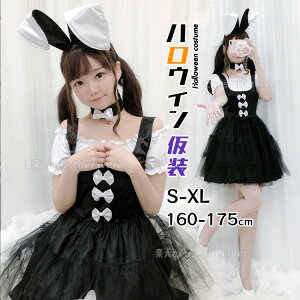 nEB  l  RXv Ch oj[K[ ubN  WjA fB[X nEB[ߑ RX`[ l P s[X ZNV[  ϑ 3_Zbg ETM 