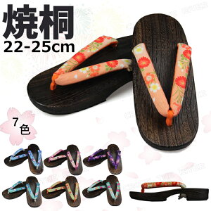 ʃT_   ɂȂ fB[X 25cm 䂩 ߉  ߂ɂȂ 23cm 24cm 25cm a  @   n čՂ ԉΑ Ղ l