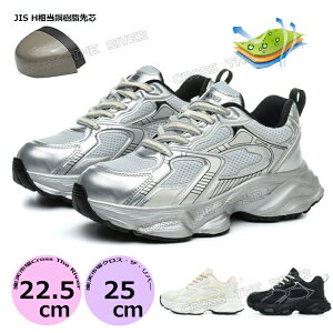 y500~N[|zSC fB[X ʋC Ȃ y SC fB[X y 24cm 22.5cm SC ʋCQ  킢 SC fB[X Xj[J[ ɂ ʋC c 