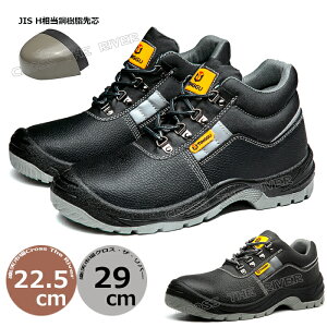 y300~N[|zy SC h nCJbg SC [Jbg Y SC fB[X 23.5cm Ȃ y ɂ ƌC SC nCJbg  傫TCY SC |