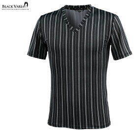 Tシャツ ストライプ メンズ Vネック 日本製 細身 ストレッチ 総柄 半袖Tシャツ mens ファッション おしゃれ (ブラック黒ホワイト白) 181302