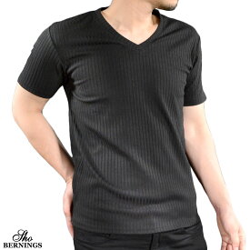 Tシャツ テレコ Vネック メンズ ストライプ 無地 シンプル 半袖T mens ファッション おしゃれ (ブラック黒) 373642