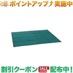 N[|zz(R[})Coleman egV[gZbg/3025